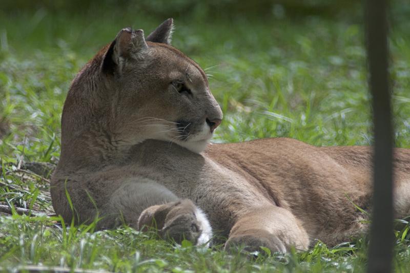 Cjp_2011_08_02_135359 (1).jpg